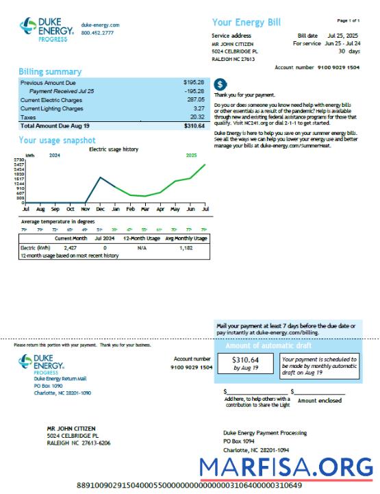 Printable USA Duke Energy utility bill template in Word and PDF formats, version 3
